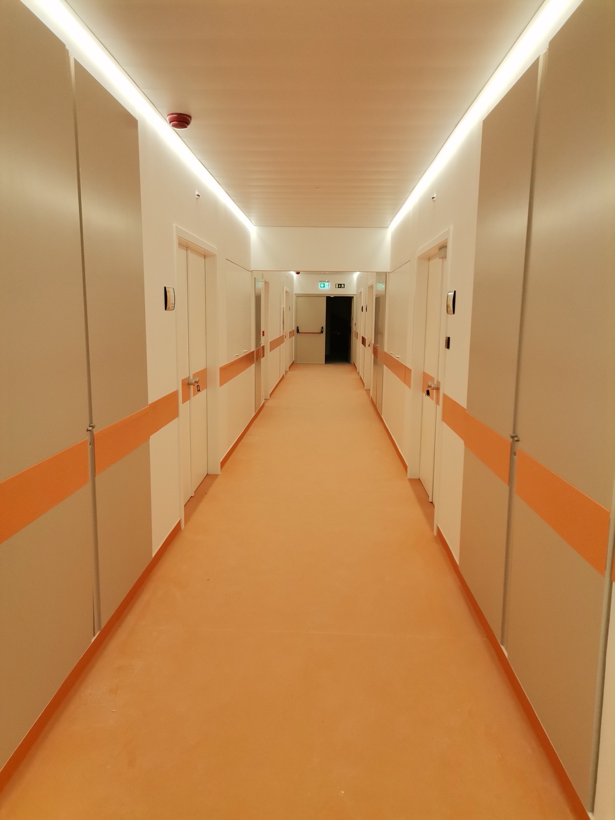 universidade-algarve-medicina-02